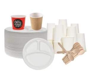 Best Supplier of Disposable Items in Noida