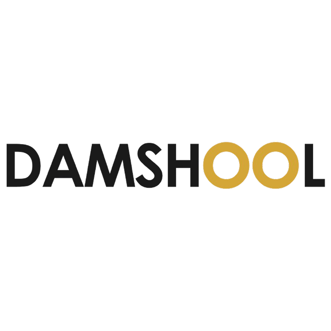 Damshool - Digital Marketing and SEO Agency Ghaziabad