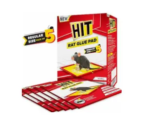 Hit Rat Glue Pad
