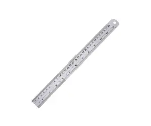 Stainless Steel Scale